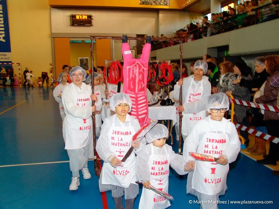 Carnaval, &Oacute;lvega'19 - 10
