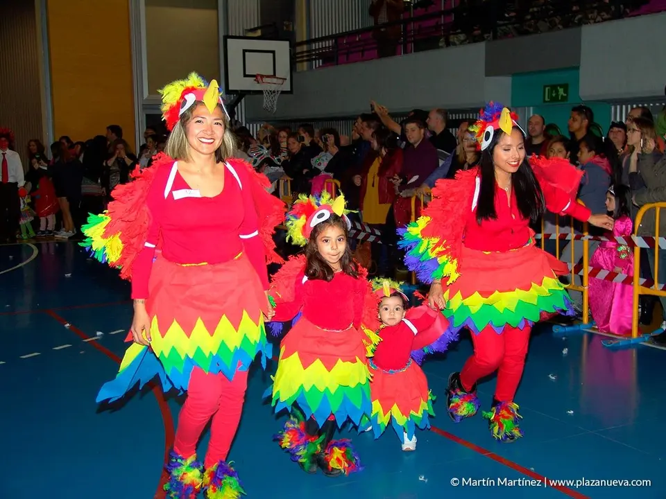 Carnaval, &Oacute;lvega'19 - 16