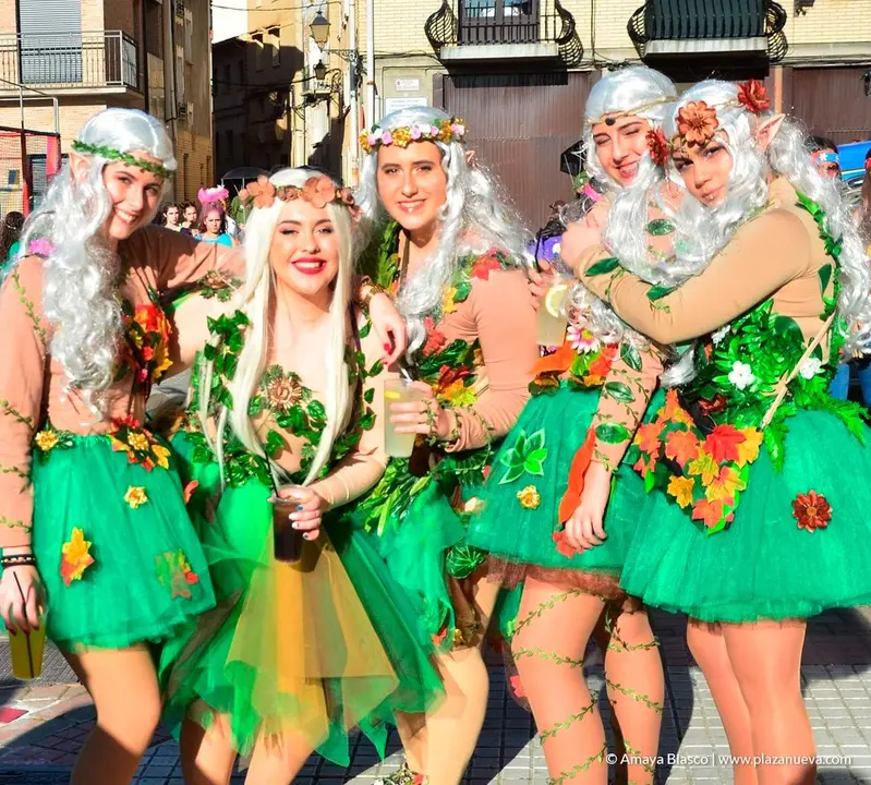 Carnavales, Valtierra'19 - 5