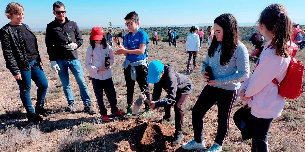 Los escolares de Tarazona participan en la repoblación de la Dehesa