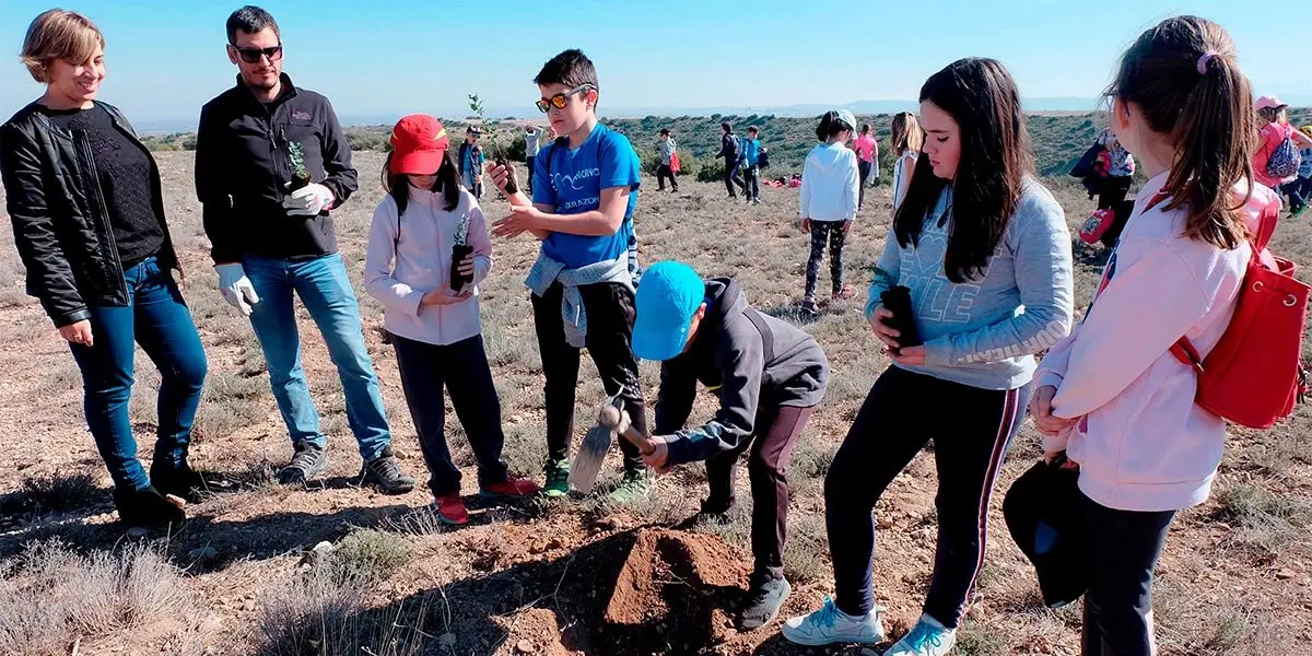 Los escolares de Tarazona participan en la repoblaci&oacute;n de la Dehesa