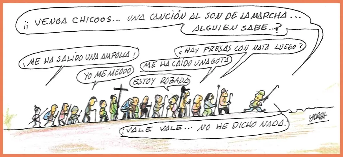 Yorch-1238-2