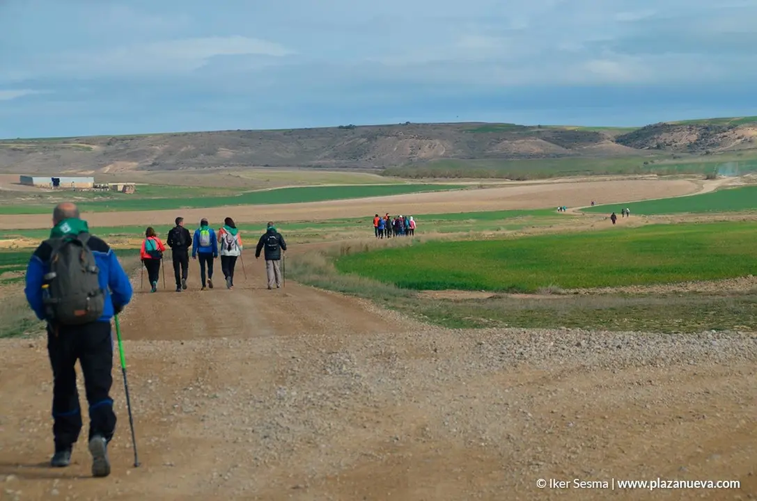 Javierada'19, Arguedas - 5