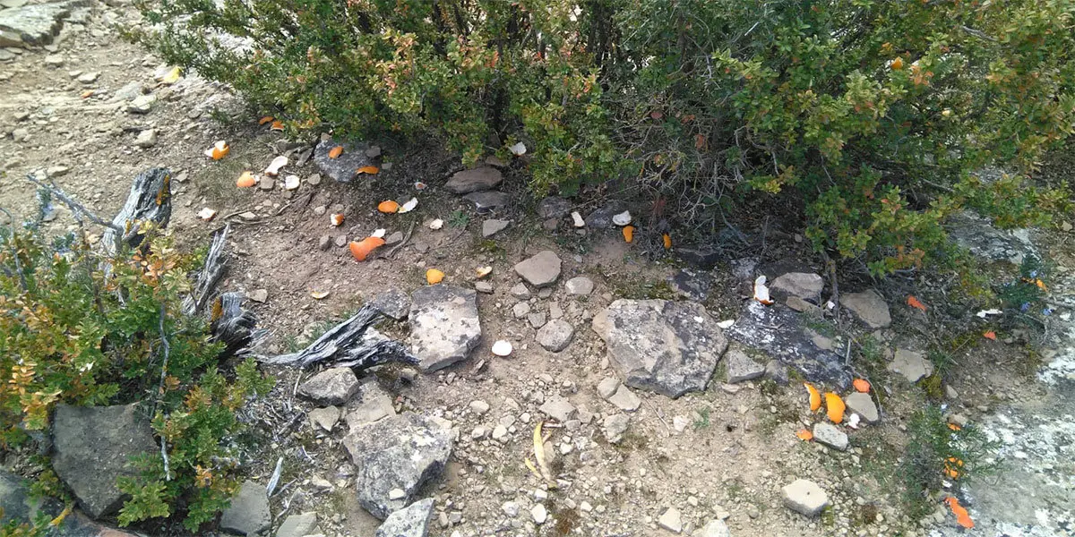 Tu c&aacute;mara denuncia, Iosu Pascual en la Javierada