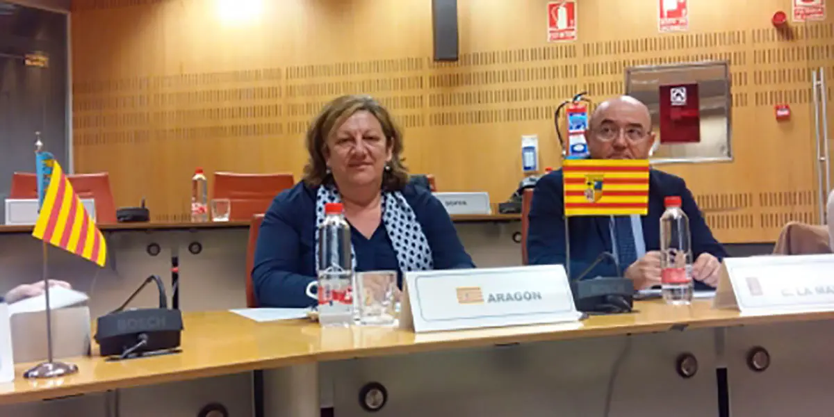Comisión permanente Consejo Protección Civil