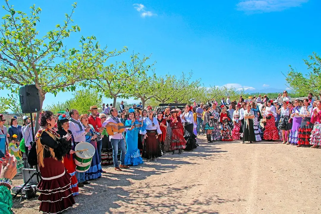 IX Roc&iacute;o de Murchante 2019 - 3