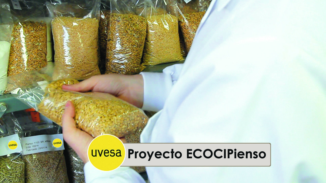 Proyecto ECOCIPienso Uvesa