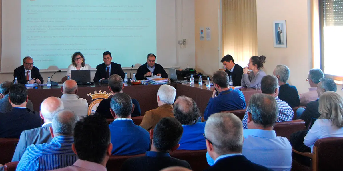 Presentaci&oacute;n de los datos