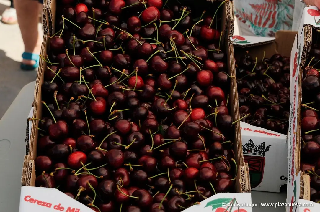 D&iacute;a de la Cereza, Milagro'19 - 8