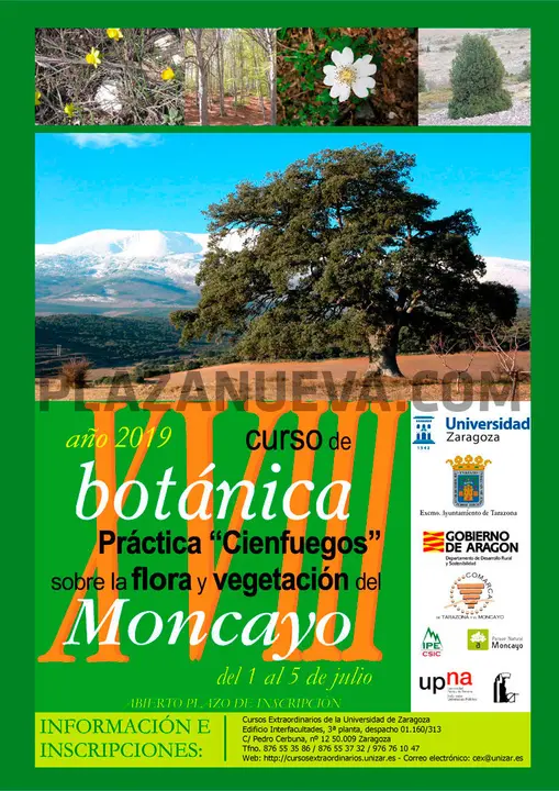 XVIII Curso en Tarazona de Bot&aacute;nica Pr&aacute;ctica 'Cienfuegos' sobre la flora y vegetaci&oacute;n del Moncayo