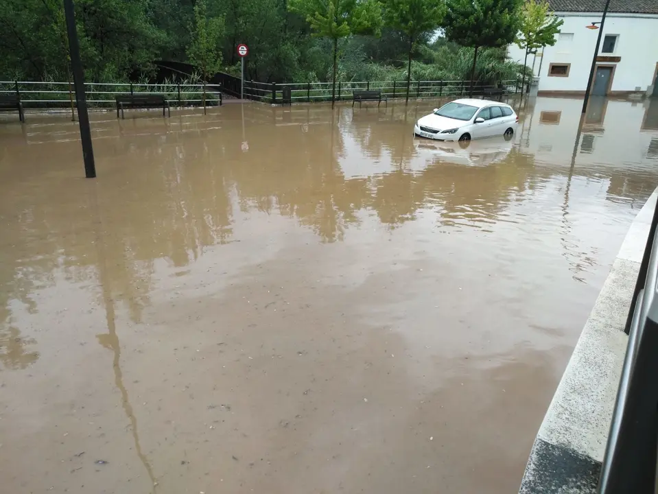Riada en Alfaro - 3