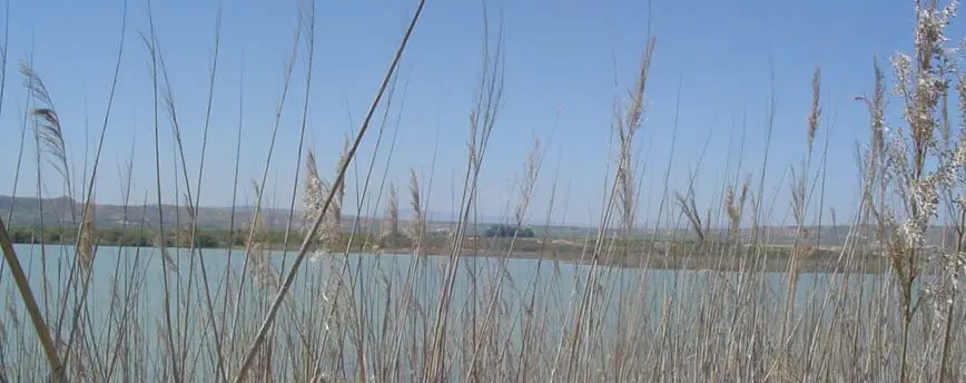 Balsa El Pulguer de Tudela