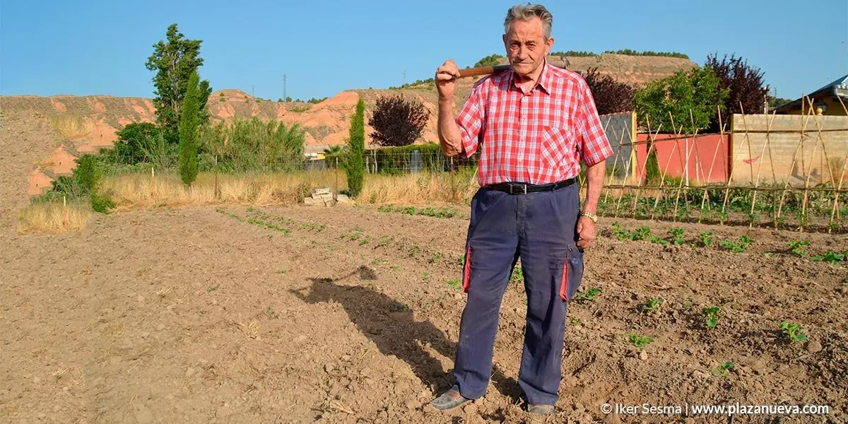 Pablo Miranda Melero, Hortelano Popular 2019