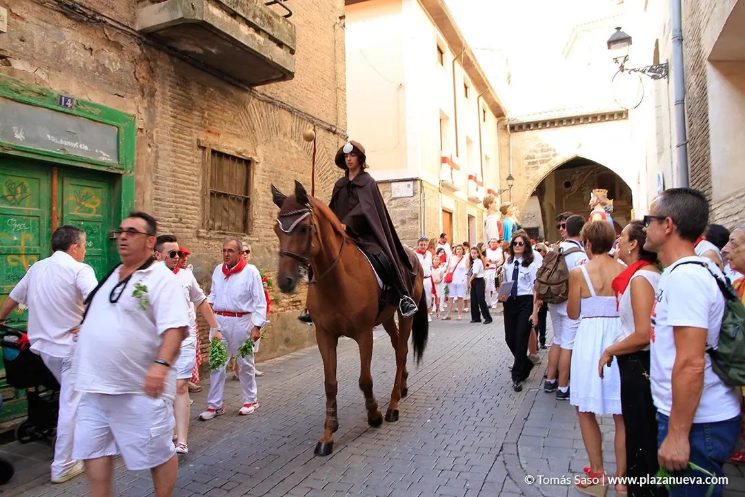 Fiestas de Tudela, d&iacute;a 25 - Procesi&oacute;n de Santiago 7