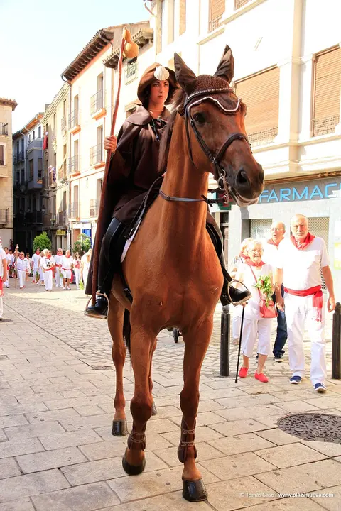 Fiestas de Tudela, d&iacute;a 25 - Procesi&oacute;n de Santiago 10