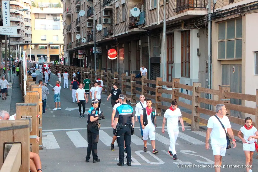 Fiestas de Tudela, día 25 Encierro y Vacas en la plaza 1