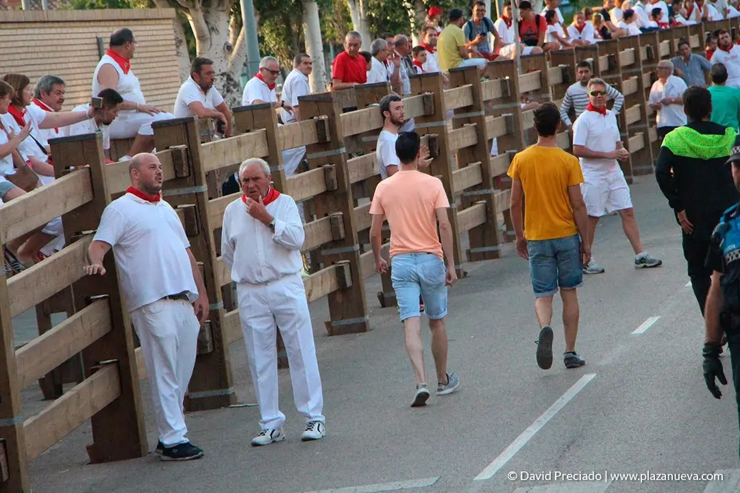 Fiestas de Tudela, día 25 Encierro y Vacas en la plaza 2