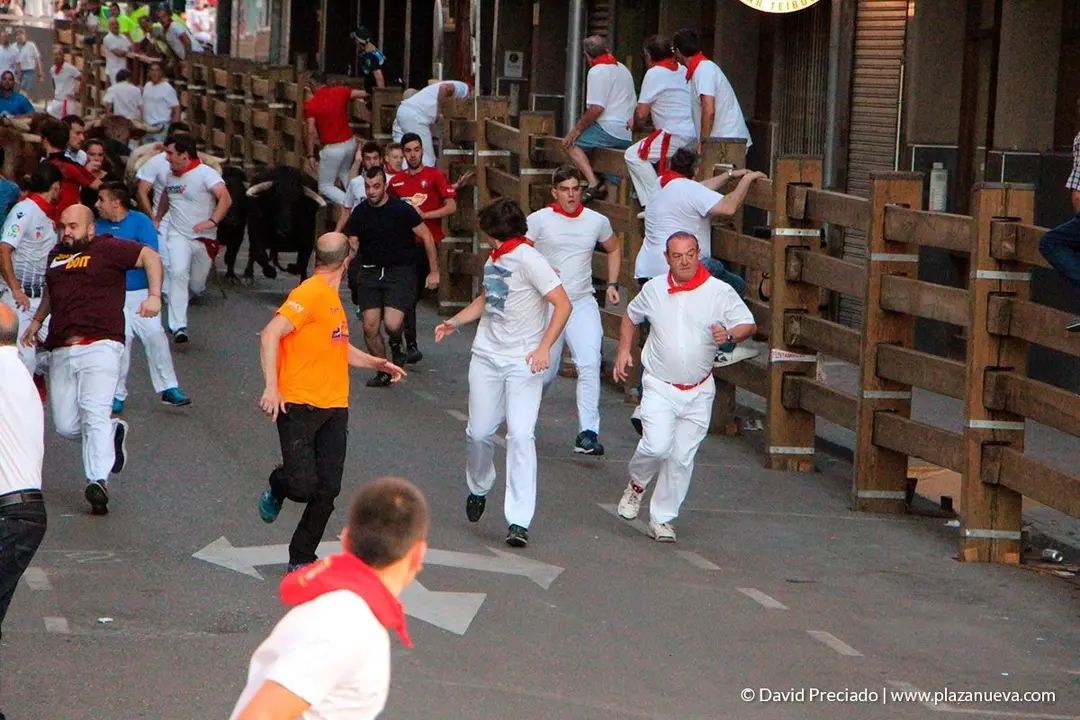 Fiestas de Tudela, día 25 Encierro y Vacas en la plaza 3