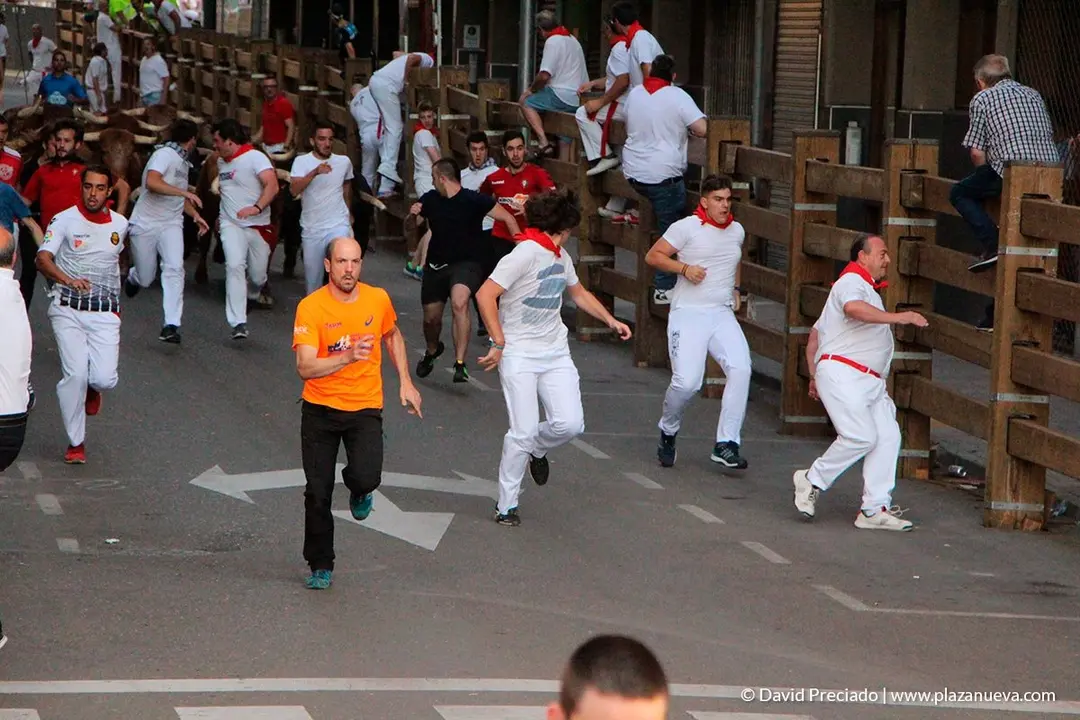 Fiestas de Tudela, día 25 Encierro y Vacas en la plaza 4