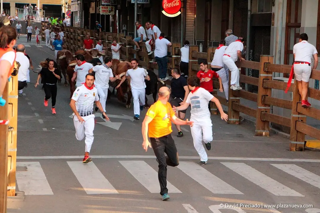 Fiestas de Tudela, día 25 Encierro y Vacas en la plaza 5