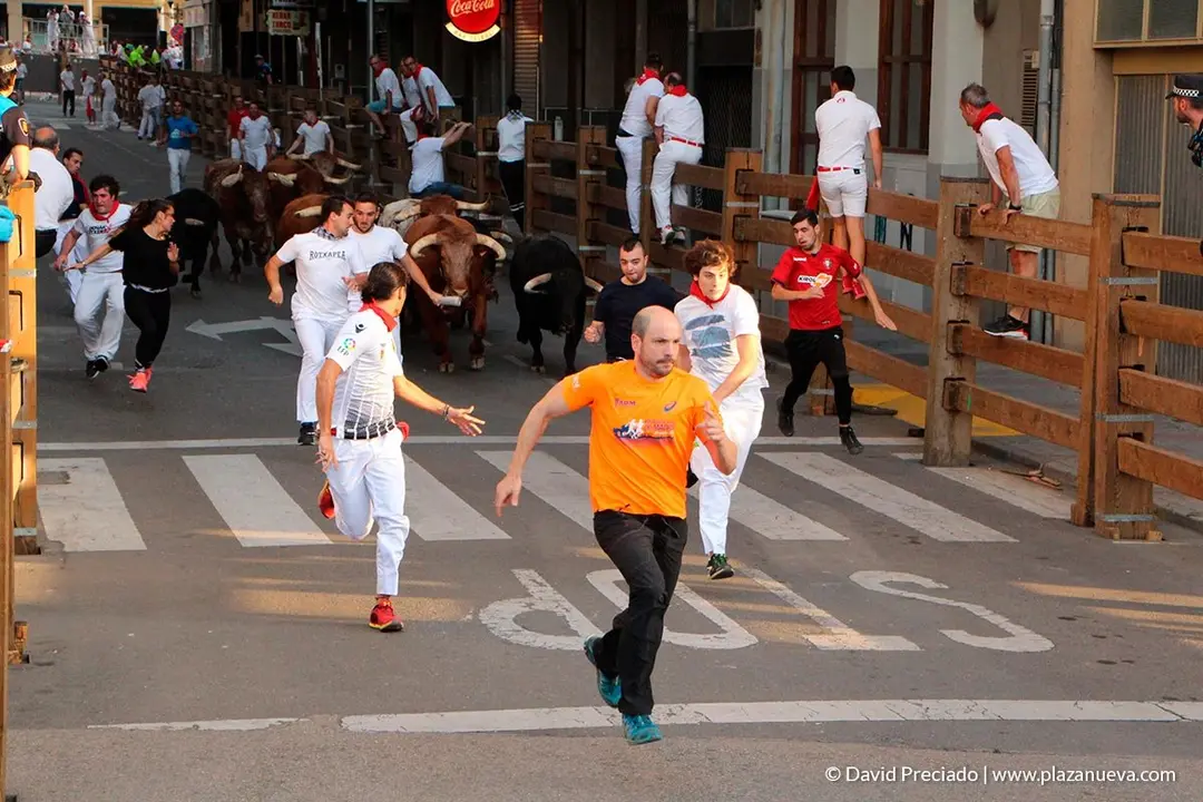 Fiestas de Tudela, día 25 Encierro y Vacas en la plaza 6