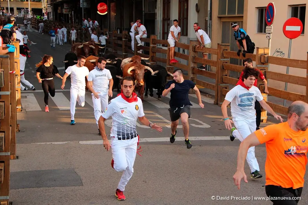 Fiestas de Tudela, día 25 Encierro y Vacas en la plaza 7