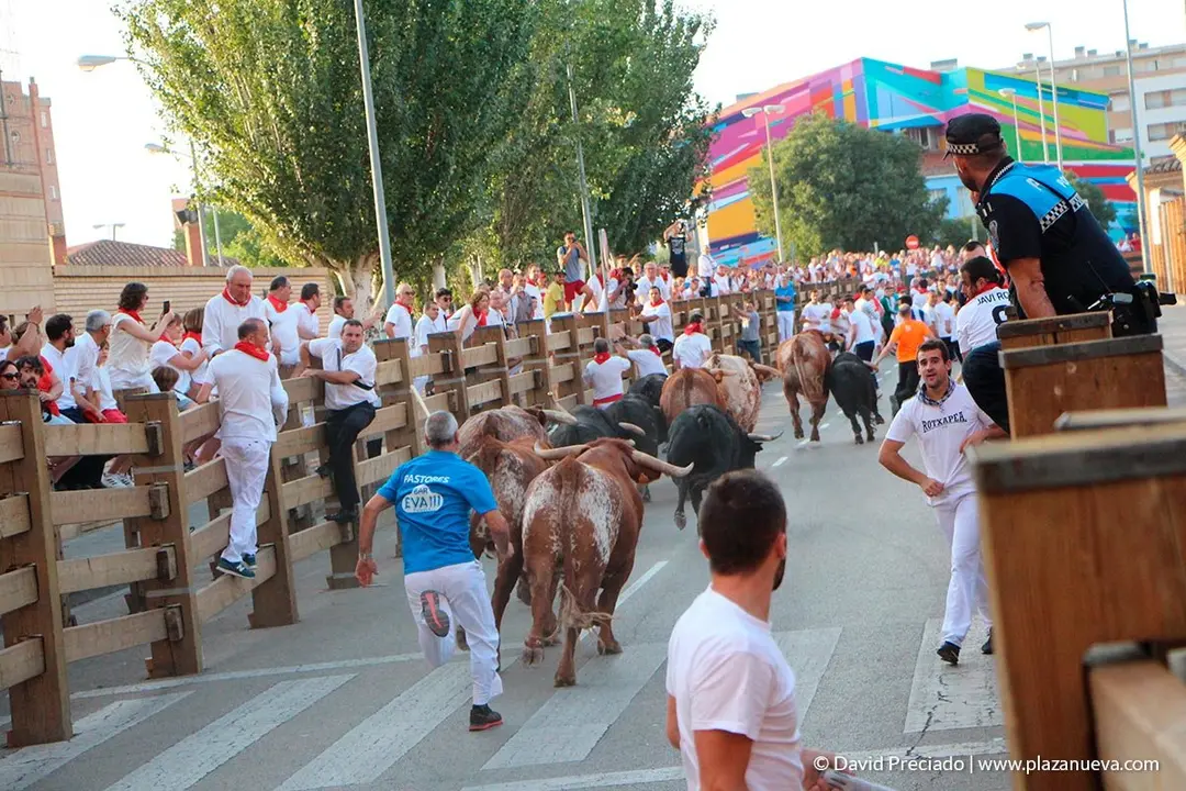 Fiestas de Tudela, día 25 Encierro y Vacas en la plaza 9