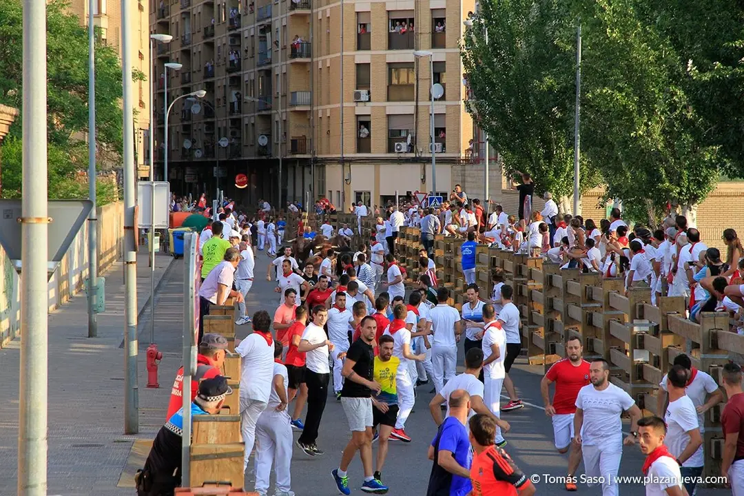 Fiestas de Tudela, día 25 Encierro y Vacas en la plaza 10