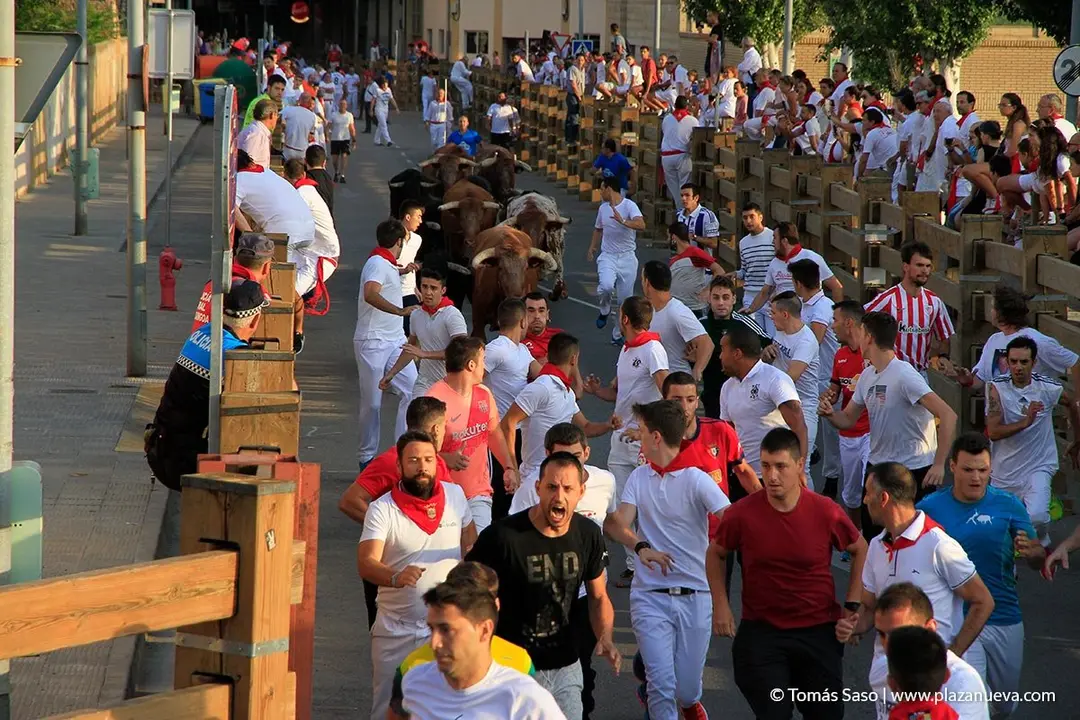 Fiestas de Tudela, día 25 Encierro y Vacas en la plaza 11