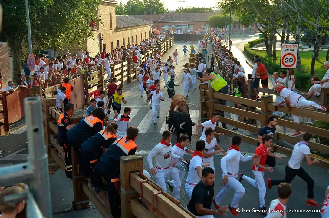 Fiestas de Tudela, día 25 Encierro y Vacas en la plaza 23