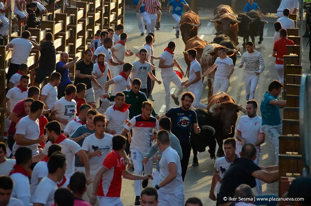Fiestas de Tudela, día 25 Encierro y Vacas en la plaza 24