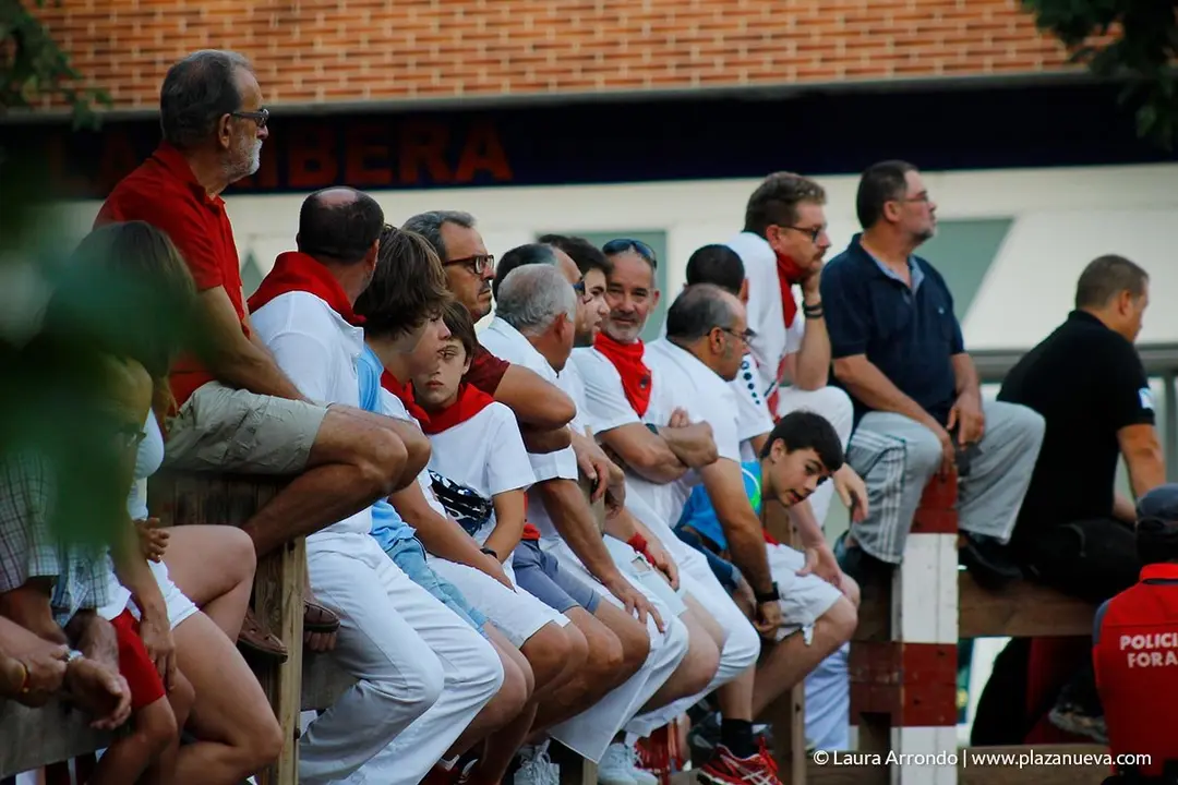 Fiestas de Tudela, día 25 Encierro y Vacas en la plaza 26