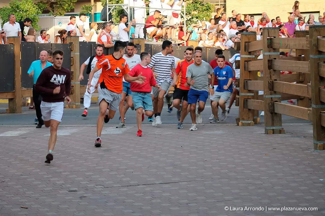 Fiestas de Tudela, día 25 Encierro y Vacas en la plaza 28