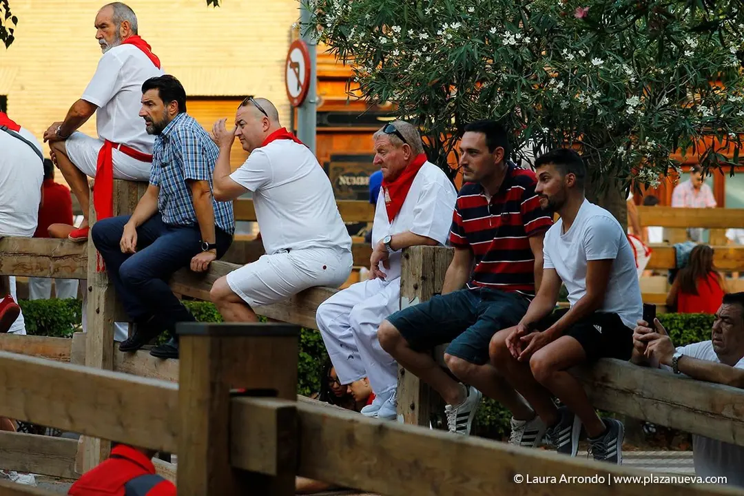 Fiestas de Tudela, día 25 Encierro y Vacas en la plaza 29