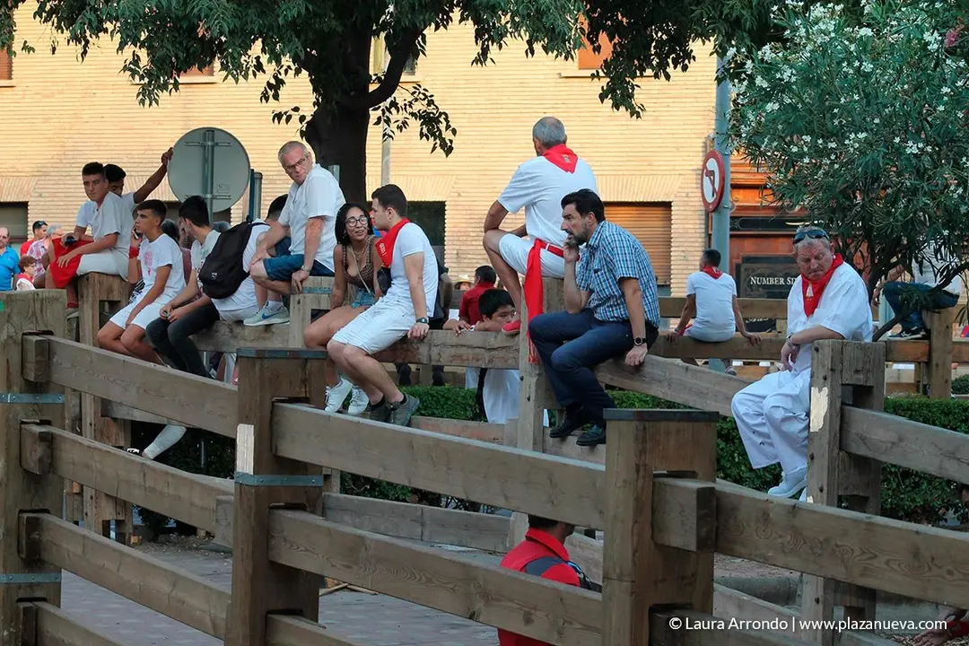 Fiestas de Tudela, día 25 Encierro y Vacas en la plaza 35
