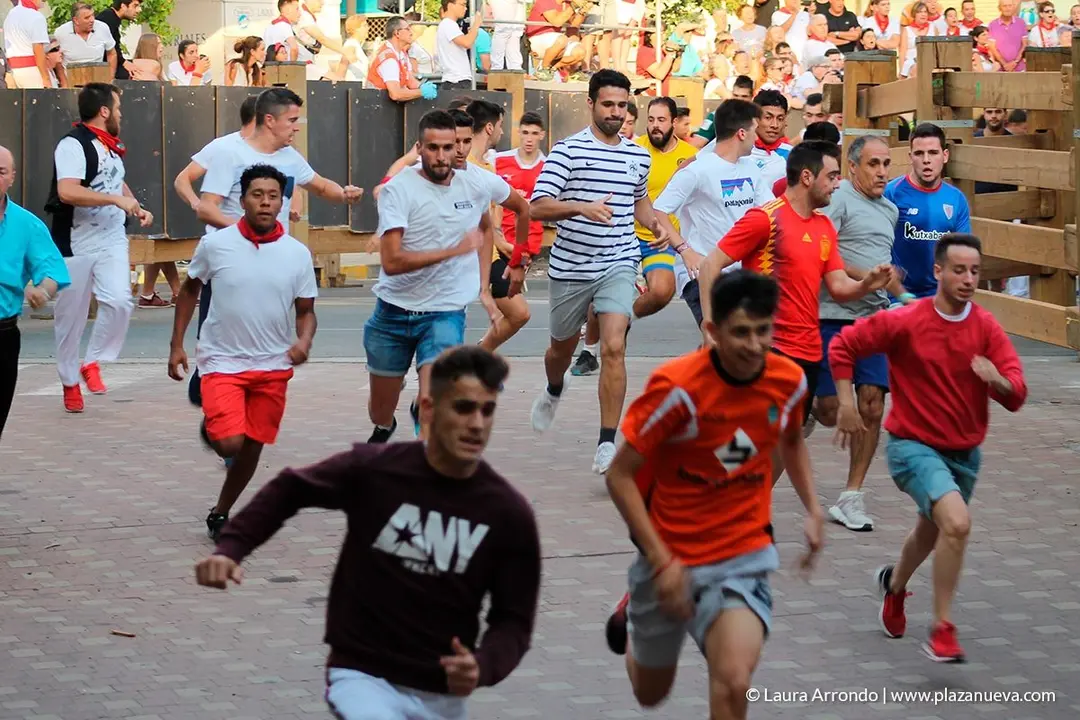 Fiestas de Tudela, día 25 Encierro y Vacas en la plaza 36