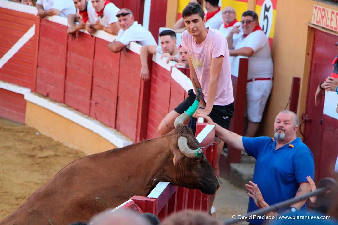 Fiestas de Tudela, día 25 Encierro y Vacas en la plaza 41