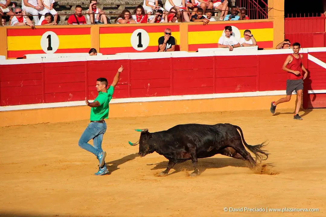 Fiestas de Tudela, día 25 Encierro y Vacas en la plaza 42