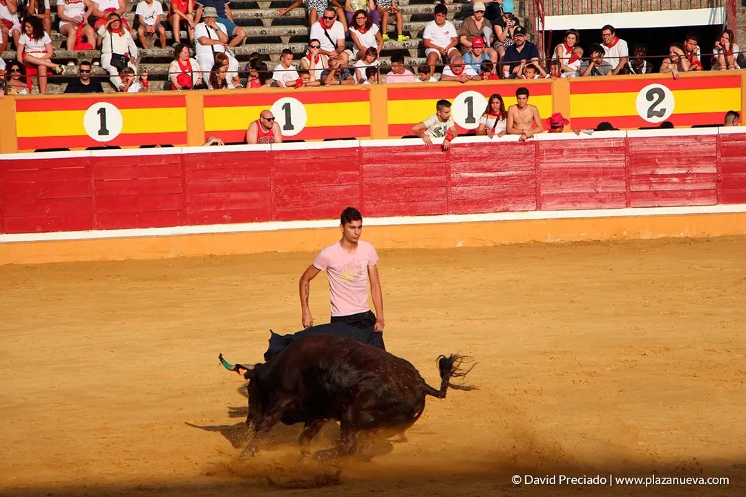 Fiestas de Tudela, día 25 Encierro y Vacas en la plaza 43