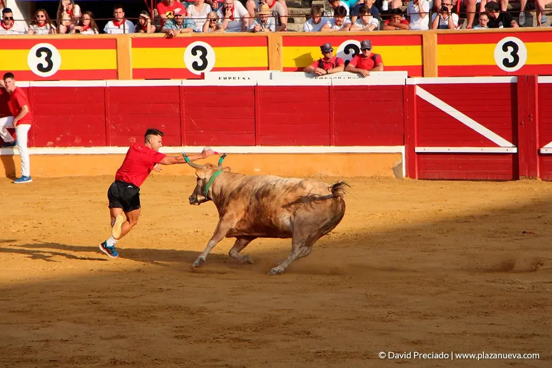 Fiestas de Tudela, día 25 Encierro y Vacas en la plaza 51