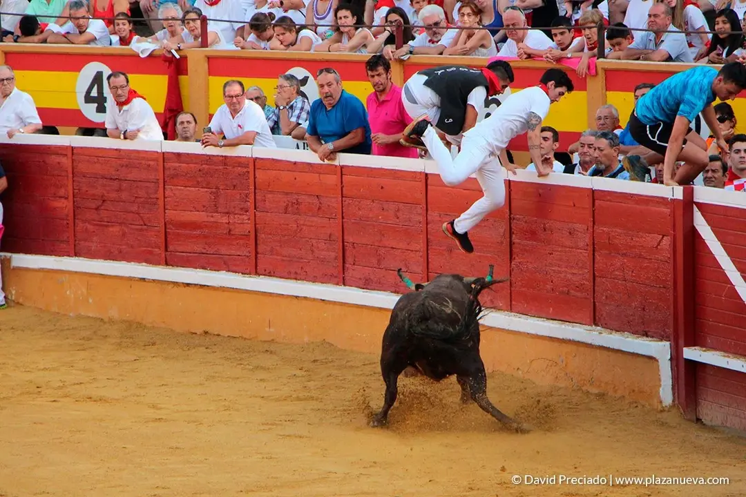 Fiestas de Tudela, día 25 Encierro y Vacas en la plaza 52