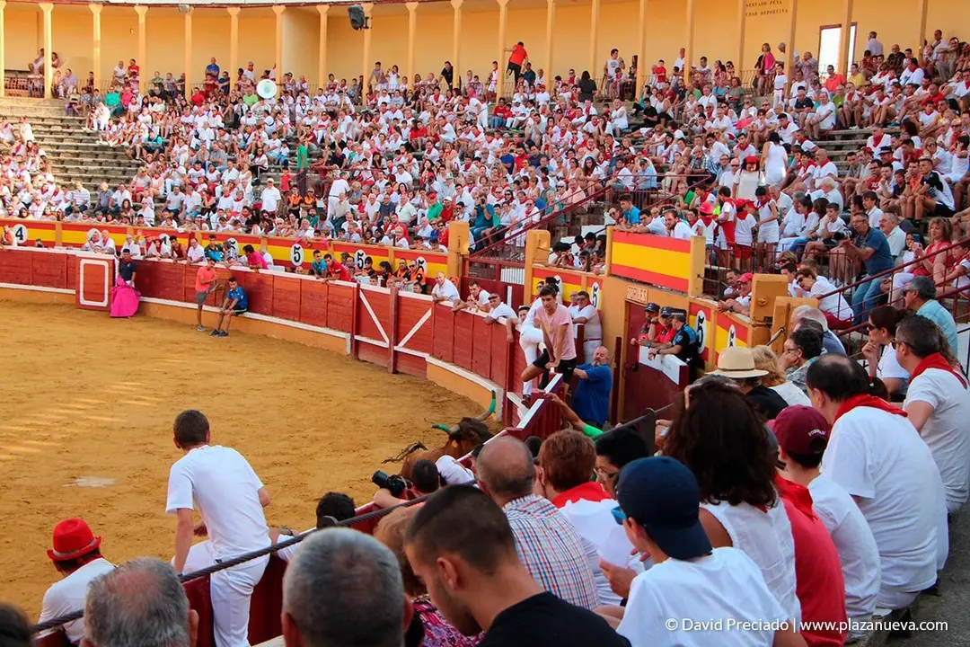 Fiestas de Tudela, día 25 Encierro y Vacas en la plaza 53