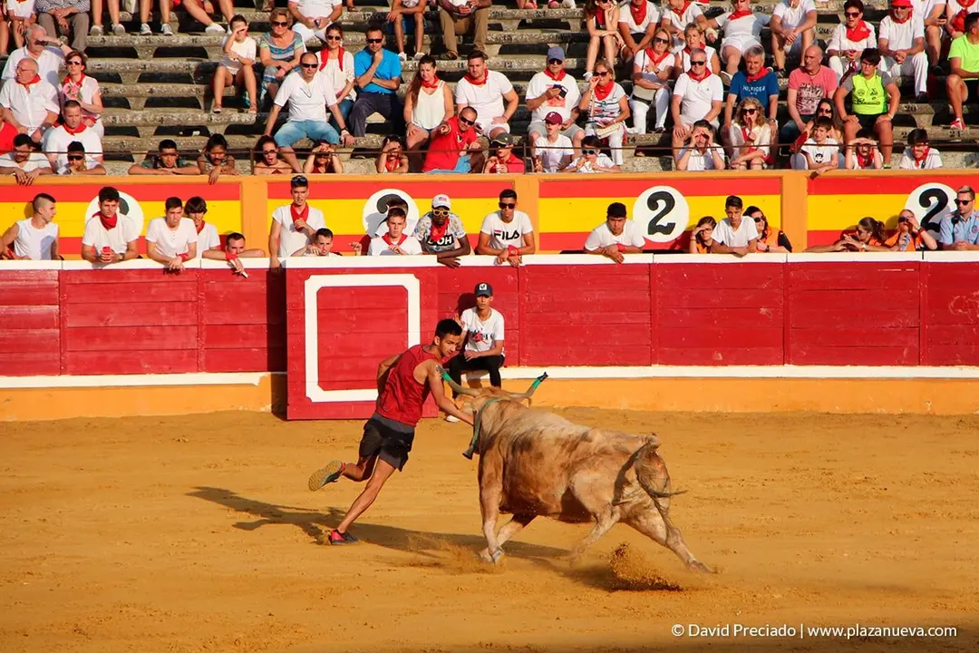 Fiestas de Tudela, día 25 Encierro y Vacas en la plaza 54
