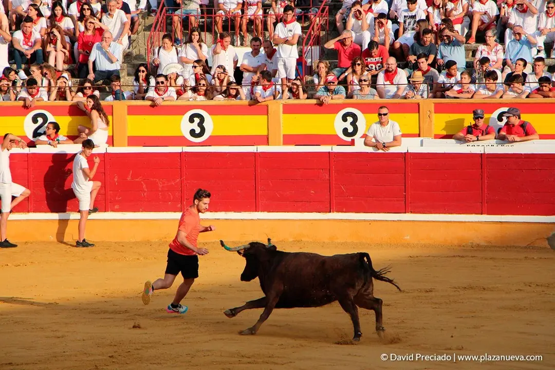 Fiestas de Tudela, día 25 Encierro y Vacas en la plaza 57