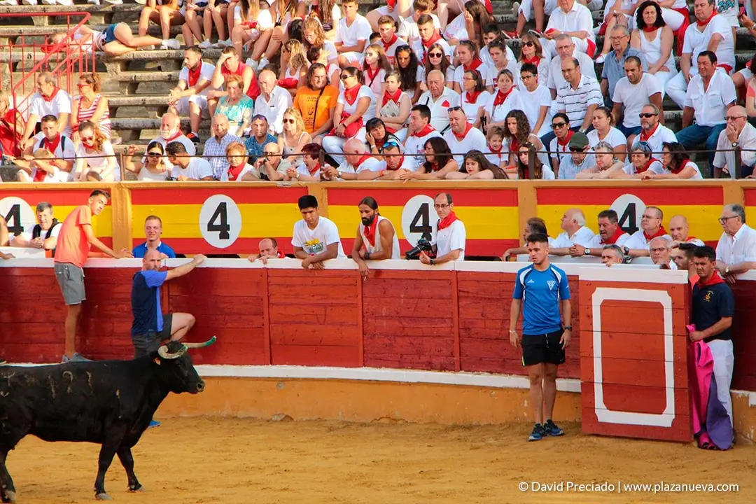 Fiestas de Tudela, día 25 Encierro y Vacas en la plaza 58