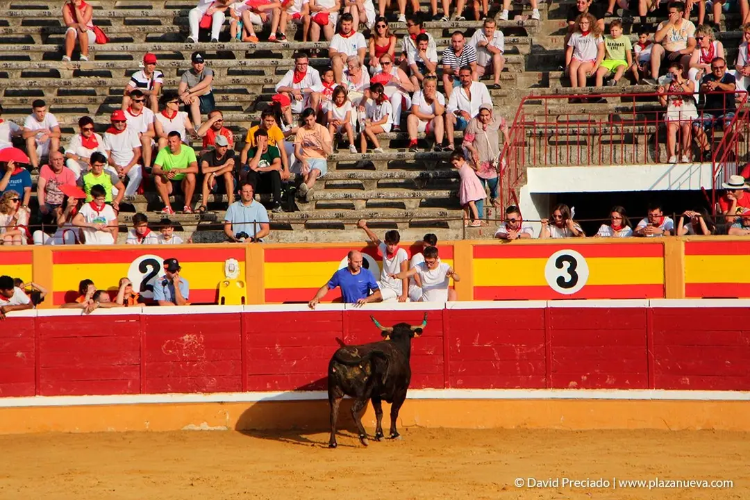 Fiestas de Tudela, día 25 Encierro y Vacas en la plaza 60