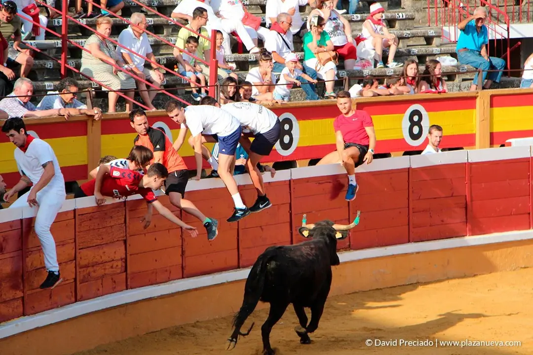 Fiestas de Tudela, día 25 Encierro y Vacas en la plaza 61
