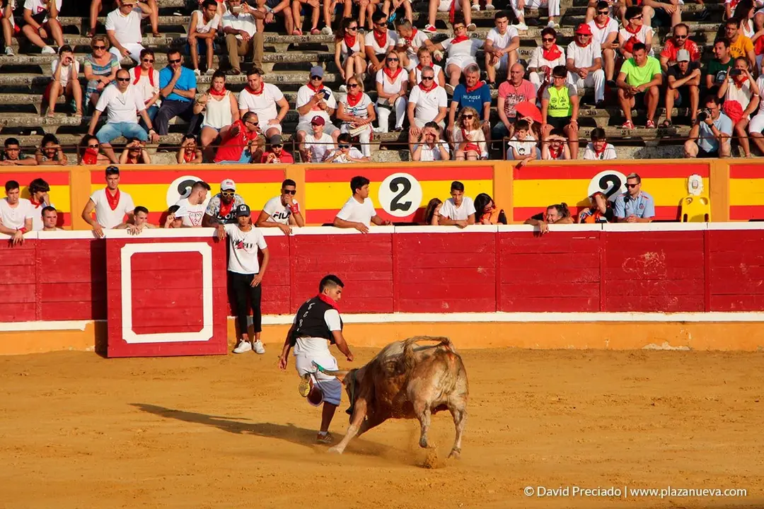 Fiestas de Tudela, día 25 Encierro y Vacas en la plaza 63
