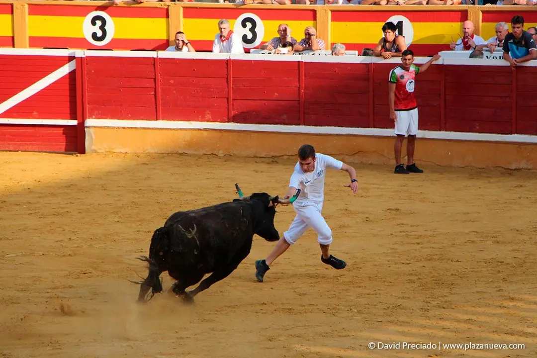 Fiestas de Tudela, día 25 Encierro y Vacas en la plaza 64