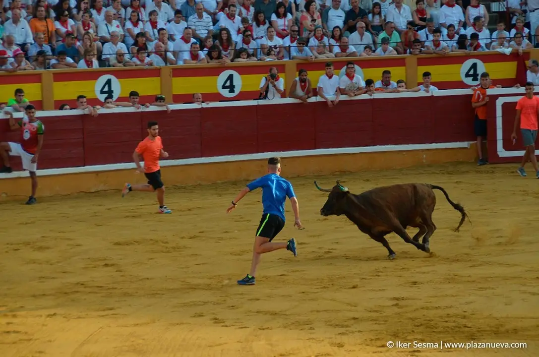 Fiestas de Tudela, día 25 Encierro y Vacas en la plaza 72